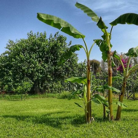 B&B Tifeo Villafranca Tirrena Ngoại thất bức ảnh