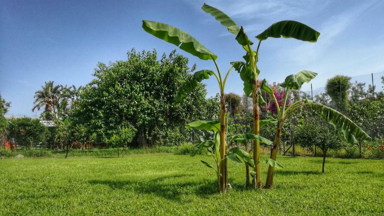 B&B Tifeo Villafranca Tirrena Ngoại thất bức ảnh