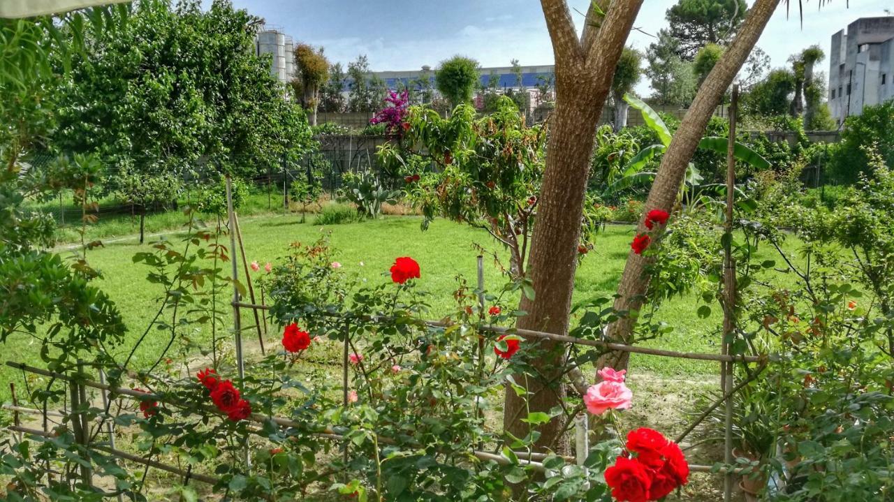 B&B Tifeo Villafranca Tirrena Ngoại thất bức ảnh